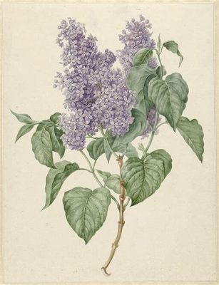  When Lilacs Last in the Dooryard Bloom’d: A Tale of Forbidden Love and Colombian Spirit